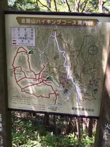 金勝山ハイキングコース